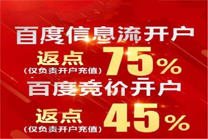 成功案例解析：SEM竞价员策略