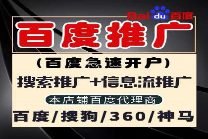 竞价广告的投放策略：XX企业成功案例解析
